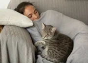 Tidur Siang pada Anak, Dewasa, dan Lansia: Apa Bedanya?