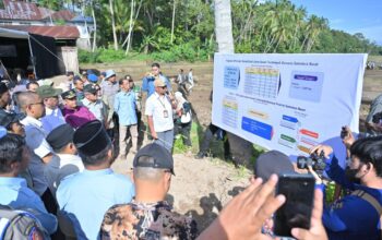 Pemerintah Mulai Lakukan Rehabilitasi Lahan Pertanian Terdampak Bencana di Sumbar