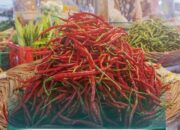 Jelang Ramadhan Harga Komoditas Pokok Turun di Pasar Padang Panjang, Cabai Merah Naik