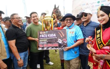 Kuda Emmera Milik Wako Bukittingi Sukses Kalahkan Kuda Ketua KONI Tanah Datar