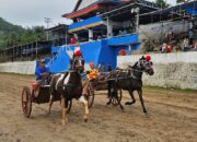 Pacu Bugih, Tradisi Minangkabau yang Hampir Terlupakan